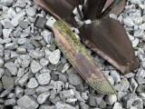 Нож Медведь фултанг (QPM-53, карбон сильвер твил, формованные ножны с тиснением), фото 8