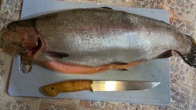 Филейный нож в работе